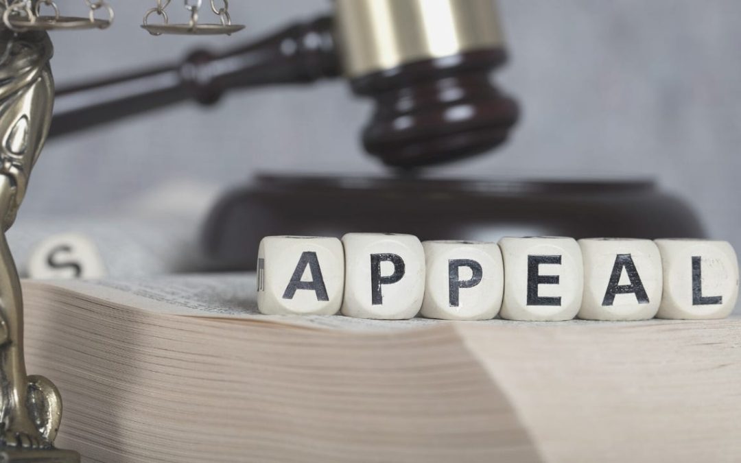 Petition Vs. Appeal: Understanding The Key Differences In Legal Procedures